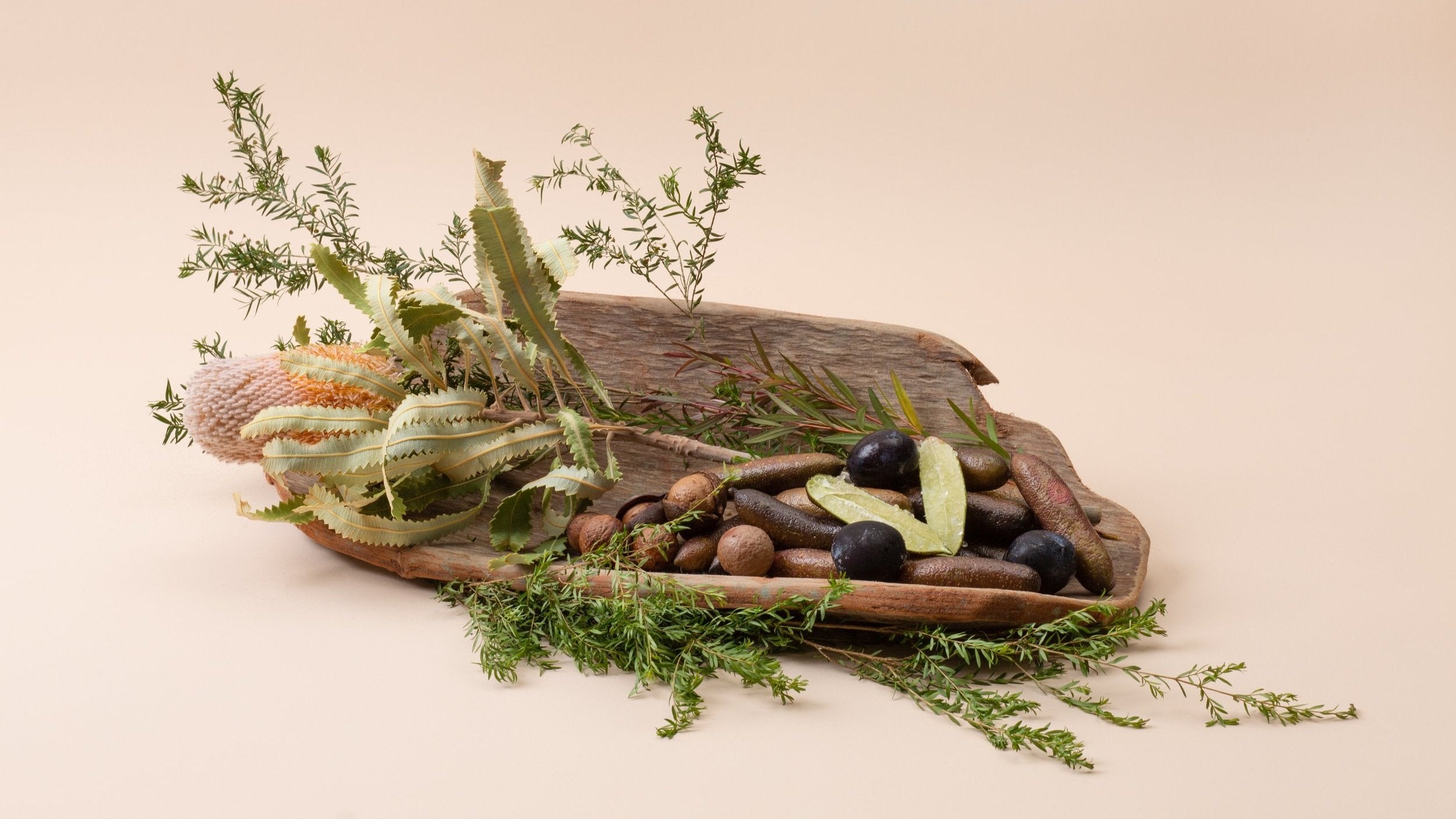 A traditional coolamon made of tree exterior, adorned with flowers, greenery and other native plants.